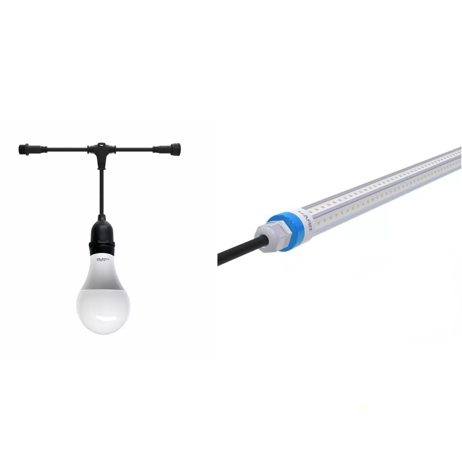 الإنارة خاصة بدواجن 